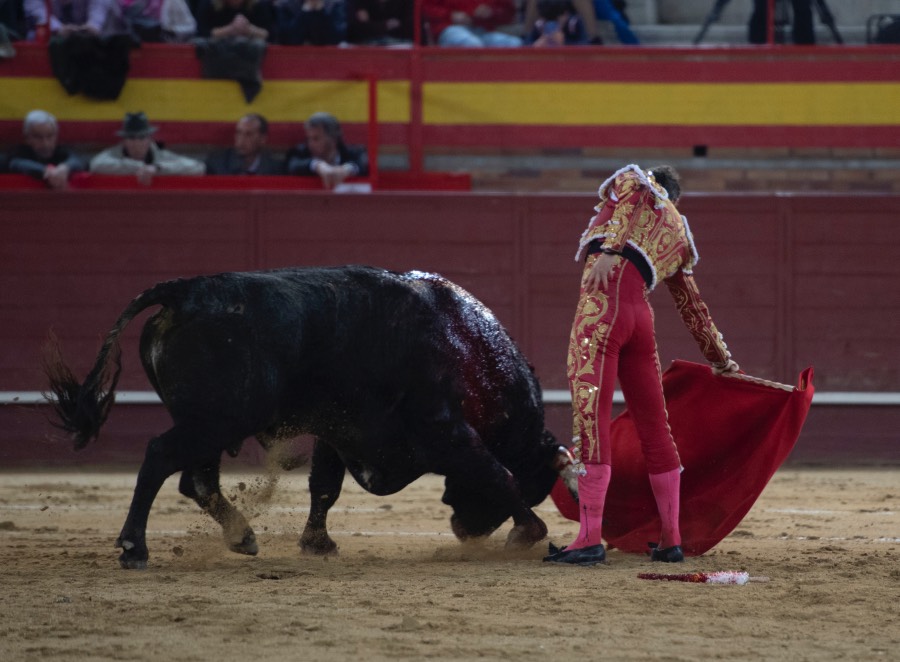 Valdemorillo, domingo 10 de febrero de 2019