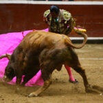 Morelia (México) - Viernes 15 de febrero de 2019