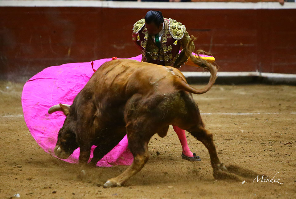Morelia (México) - Viernes 15 de febrero de 2019
