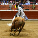 Morelia (México) - Viernes 15 de febrero de 2019