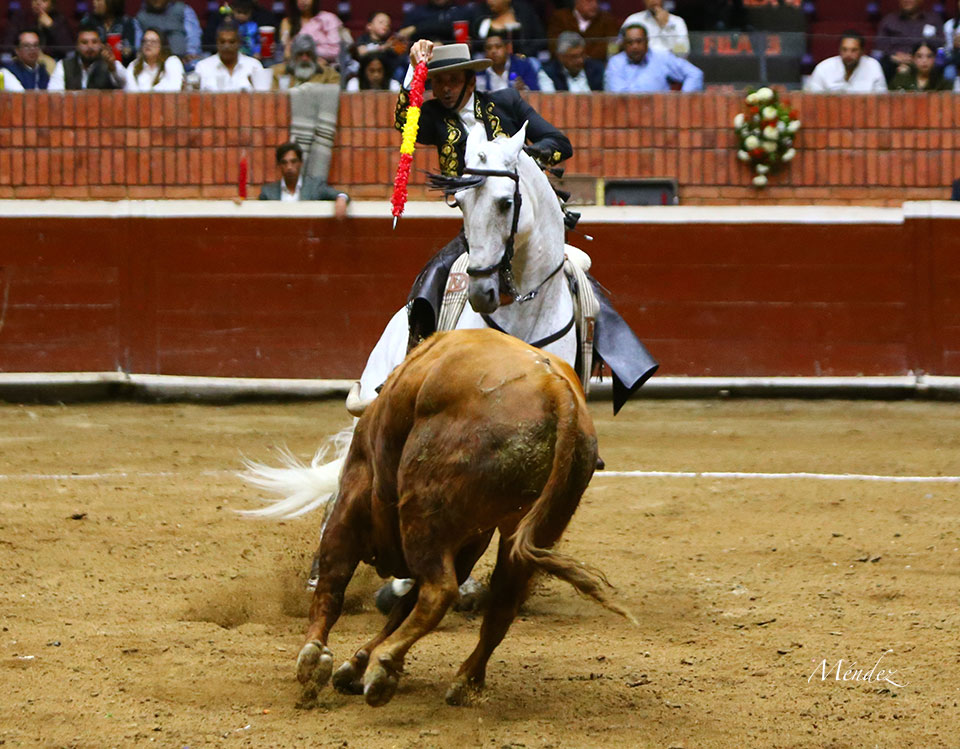 Morelia (México) - Viernes 15 de febrero de 2019