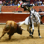 Morelia (México) - Viernes 15 de febrero de 2019