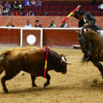 Morelia (México) - Viernes 15 de febrero de 2019