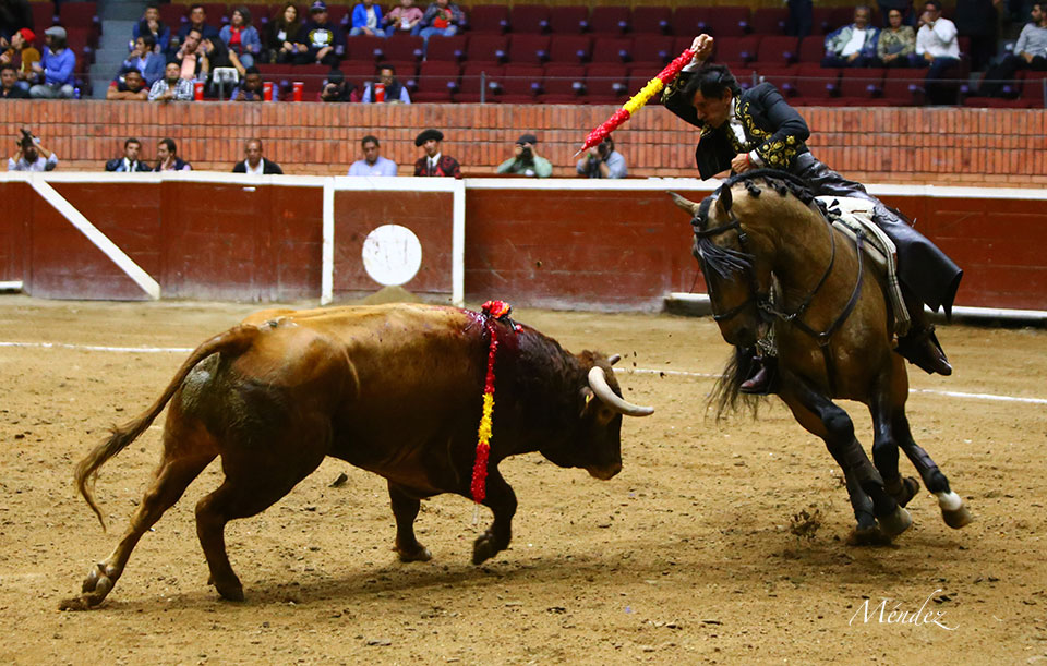 Morelia (México) - Viernes 15 de febrero de 2019