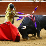 Morelia (México) - Viernes 15 de febrero de 2019