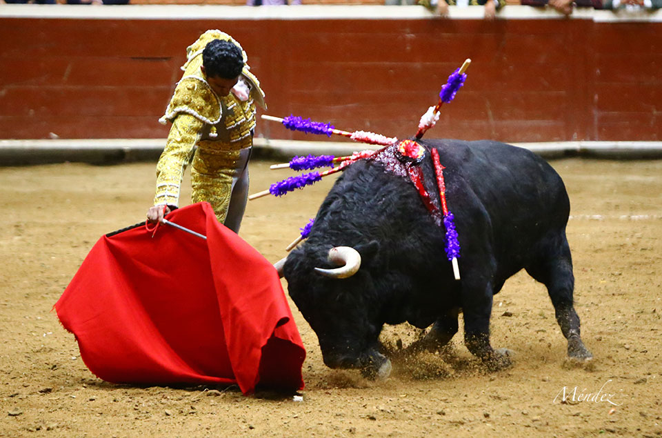 Morelia (México) - Viernes 15 de febrero de 2019