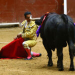 Morelia (México) - Viernes 15 de febrero de 2019