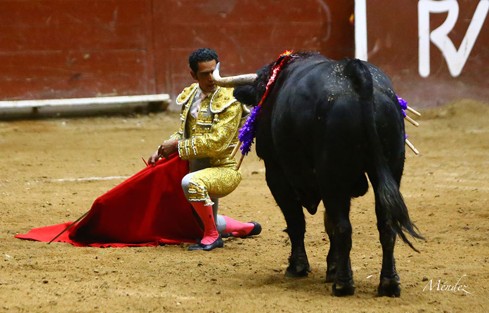 Morelia (México) - Viernes 15 de febrero de 2019