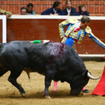 Morelia (México) - Viernes 15 de febrero de 2019