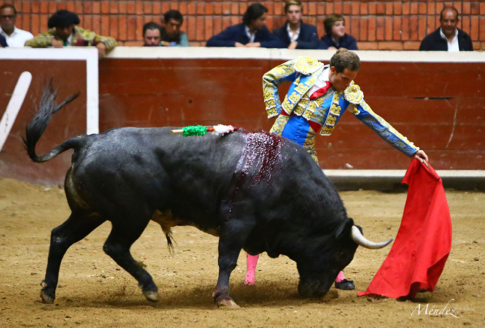 Morelia (México) - Viernes 15 de febrero de 2019