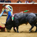 Morelia (México) - Viernes 15 de febrero de 2019