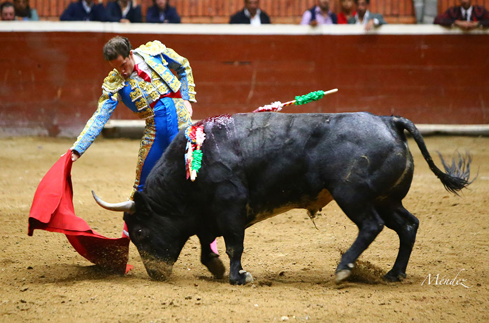 Morelia (México) - Viernes 15 de febrero de 2019