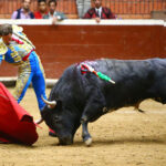 Morelia (México) - Viernes 15 de febrero de 2019