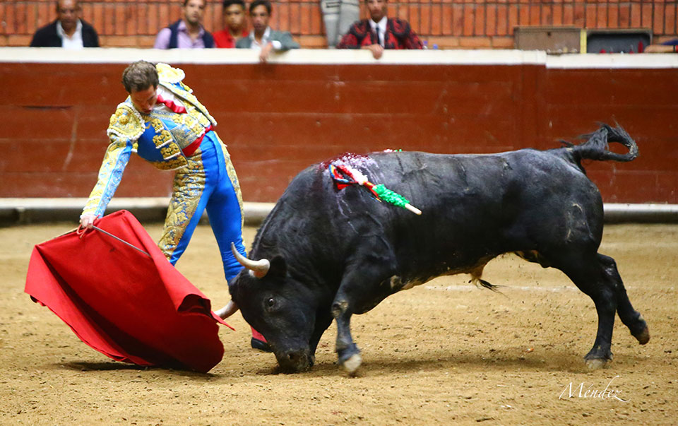 Morelia (México) - Viernes 15 de febrero de 2019