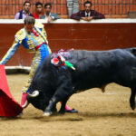 Morelia (México) - Viernes 15 de febrero de 2019