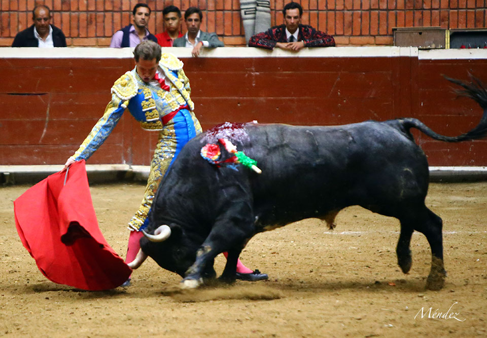 Morelia (México) - Viernes 15 de febrero de 2019