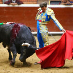 Morelia (México) - Viernes 15 de febrero de 2019