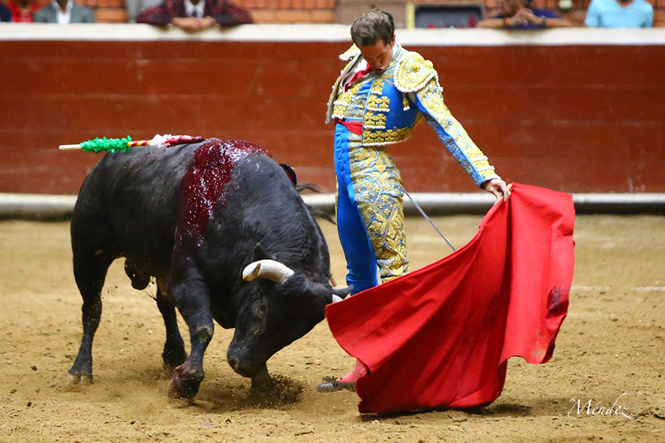 Morelia (México) - Viernes 15 de febrero de 2019