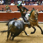 Morelia (México) - Viernes 15 de febrero de 2019