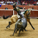 Morelia (México) - Viernes 15 de febrero de 2019