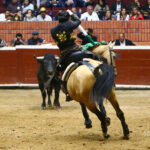 Morelia (México) - Viernes 15 de febrero de 2019