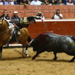 Morelia (México) - Viernes 15 de febrero de 2019