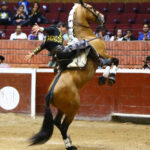 Morelia (México) - Viernes 15 de febrero de 2019