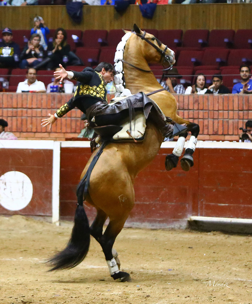 Morelia (México) - Viernes 15 de febrero de 2019