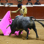 Morelia (México) - Viernes 15 de febrero de 2019