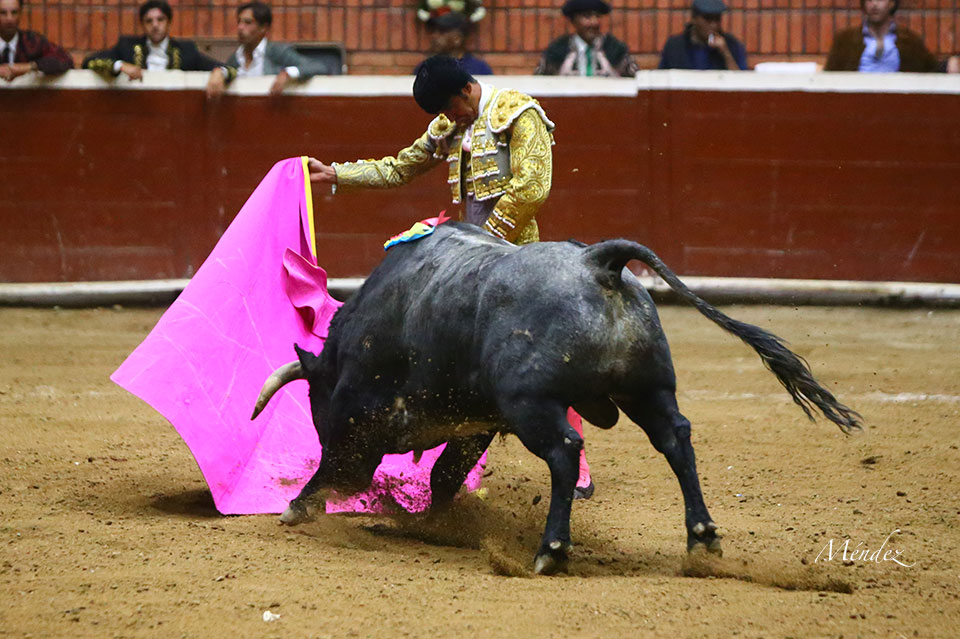 Morelia (México) - Viernes 15 de febrero de 2019