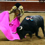 Morelia (México) - Viernes 15 de febrero de 2019