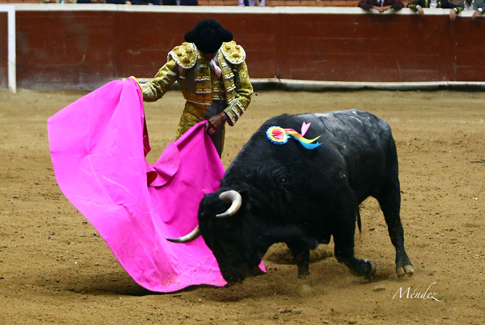 Morelia (México) - Viernes 15 de febrero de 2019