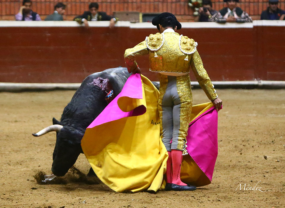 Morelia (México) - Viernes 15 de febrero de 2019