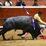 Morelia (México) - Viernes 15 de febrero de 2019