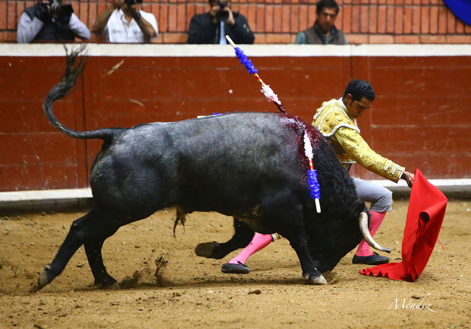 Morelia (México) - Viernes 15 de febrero de 2019