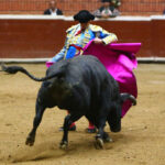 Morelia (México) - Viernes 15 de febrero de 2019