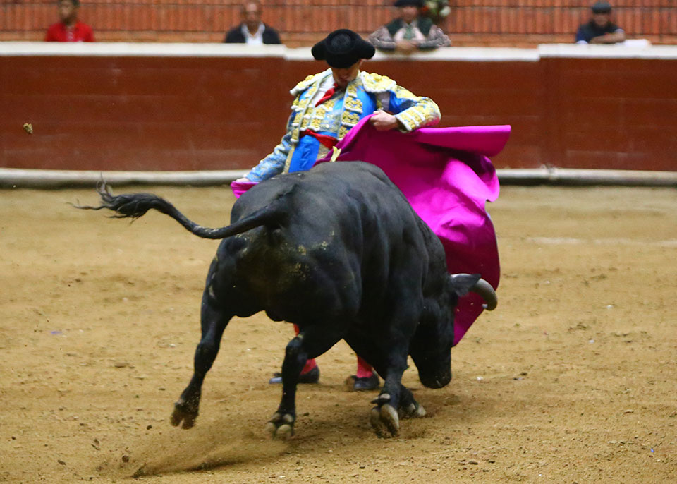 Morelia (México) - Viernes 15 de febrero de 2019