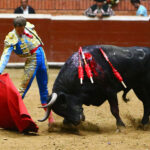 Morelia (México) - Viernes 15 de febrero de 2019