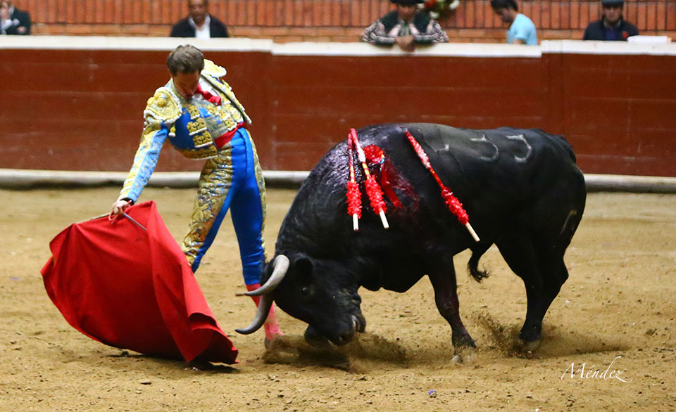 Morelia (México) - Viernes 15 de febrero de 2019