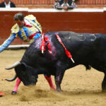 Morelia (México) - Viernes 15 de febrero de 2019