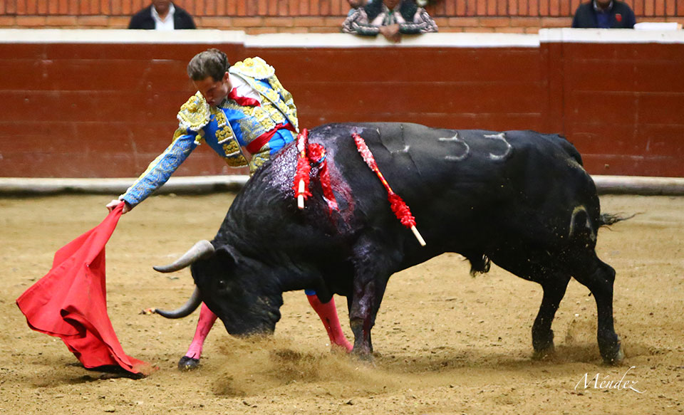 Morelia (México) - Viernes 15 de febrero de 2019