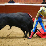 Morelia (México) - Viernes 15 de febrero de 2019