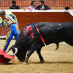 Morelia (México) - Viernes 15 de febrero de 2019