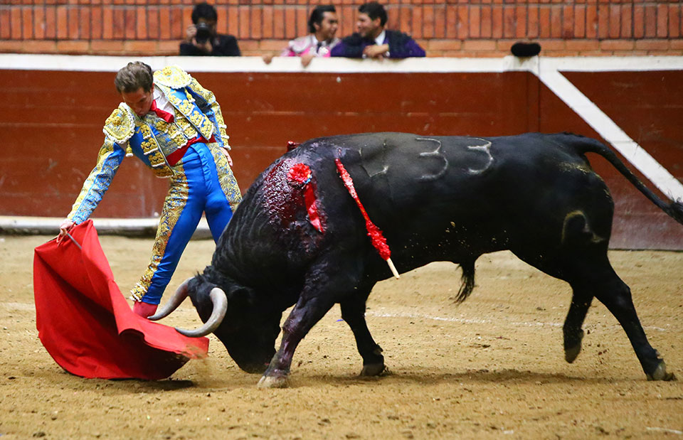 Morelia (México) - Viernes 15 de febrero de 2019