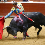 Morelia (México) - Viernes 15 de febrero de 2019