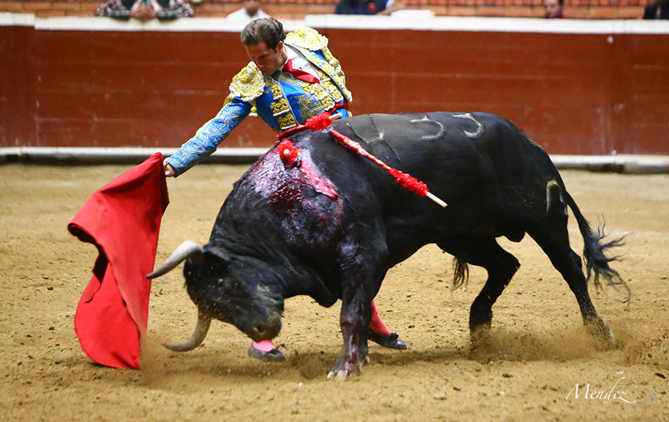 Morelia (México) - Viernes 15 de febrero de 2019
