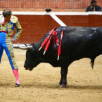 Morelia (México) - Viernes 15 de febrero de 2019