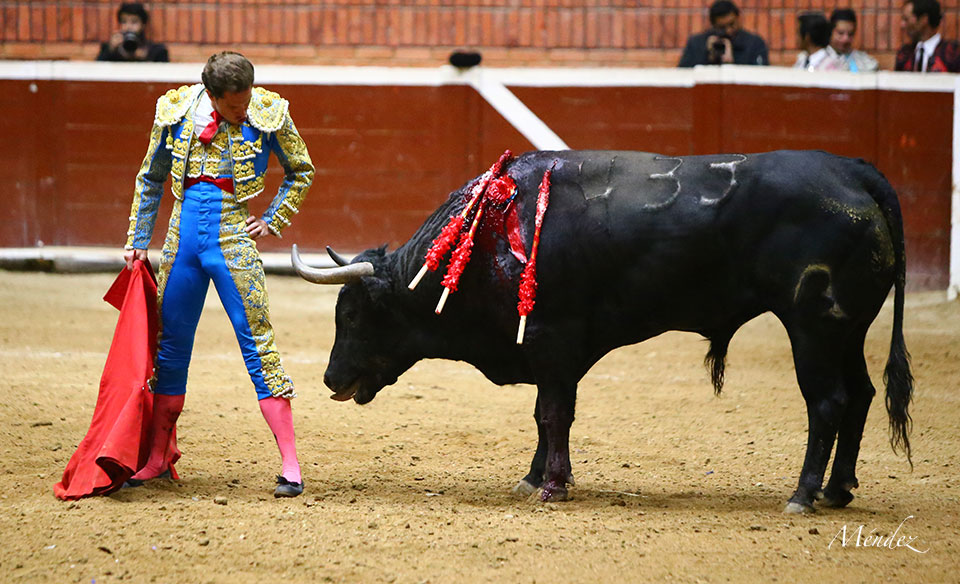 Morelia (México) - Viernes 15 de febrero de 2019