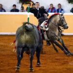Juriquilla (México). Viernes 1 de febrero de 2019