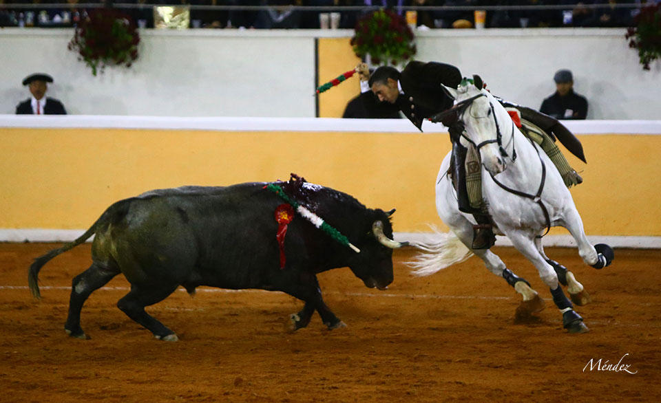 Juriquilla (México). Viernes 1 de febrero de 2019